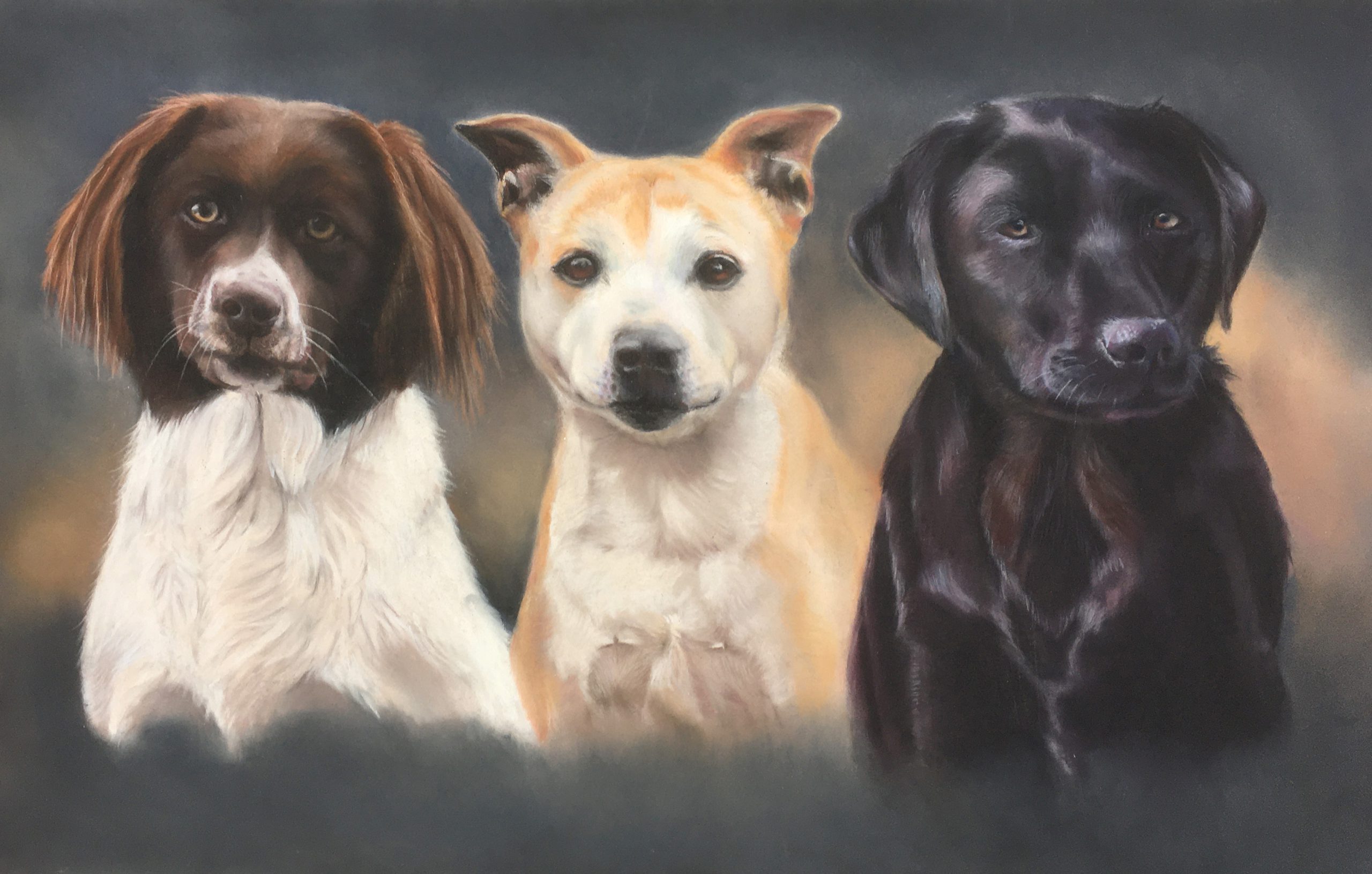 Registratie Realistisch toezicht houden op Portret van 3 honden - Artelly